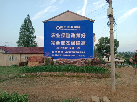 合肥墙体广告的优劣势你知道吗？